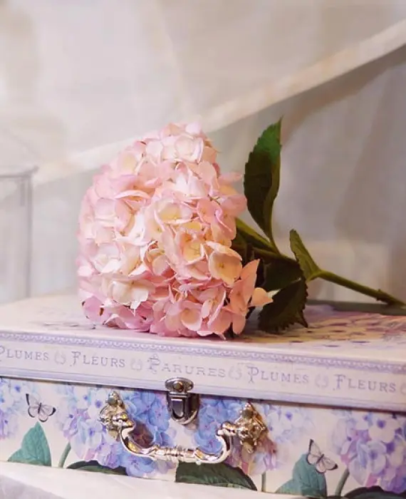 Decor Dun Temps Organisation Devenements Prives Haguenau Decoration Devenements Decor Dun Temps Organisation Devenements Prives Haguenau Decoration Devenements